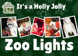 zoo-lights-ad-700-x-500-px-1