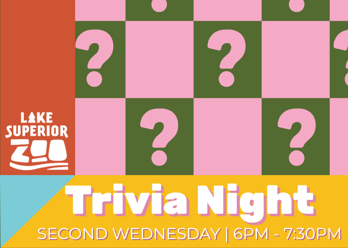 party-animals-700-x-500-px