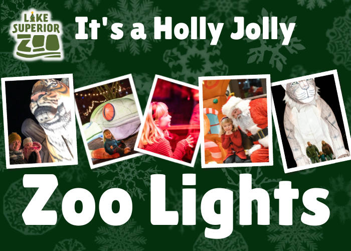 zoo-lights-ad-700-x-500-px-1